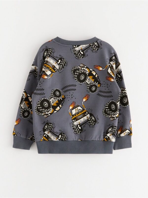 Sweatshirt with brushed inside - 3003000-2498