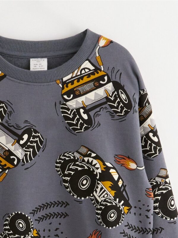 Sweatshirt with brushed inside - 3003000-2498