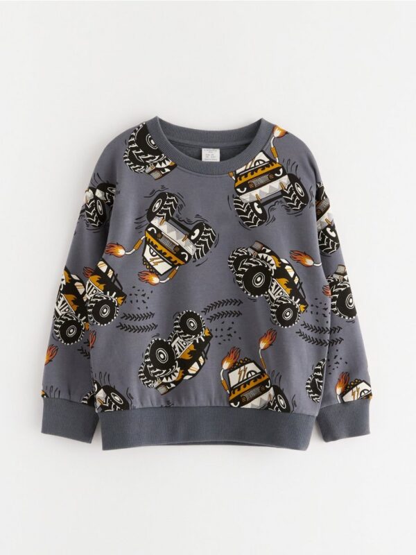 Sweatshirt with brushed inside - 3003000-2498