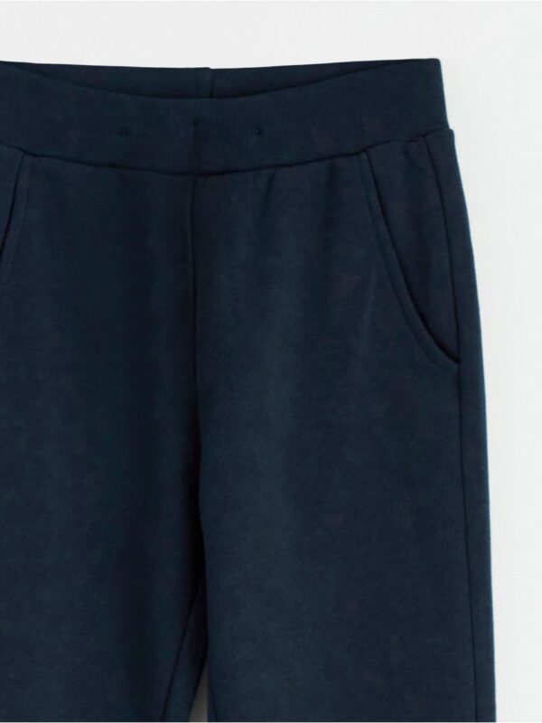Joggers with brushed inside - 8457941-2521