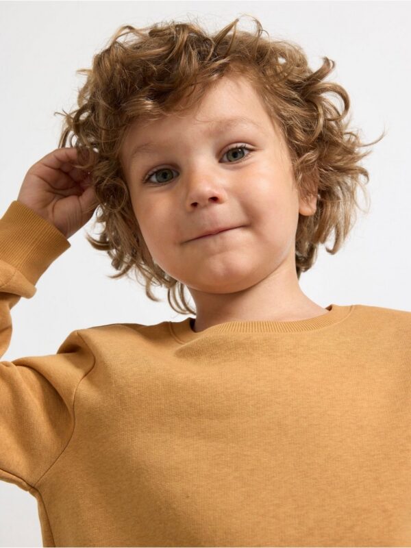 Sweatshirt with brushed inside - 8597413-3012