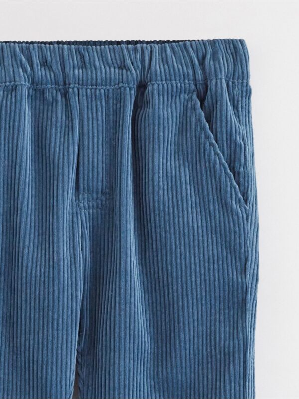 Trousers in corduroy - 8598879-6465