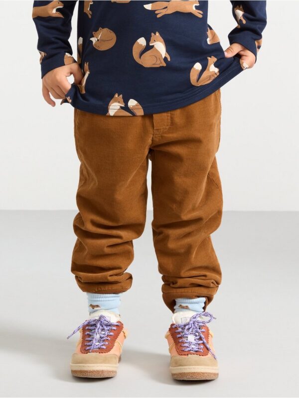 Trousers in corduroy - 3002146-1767