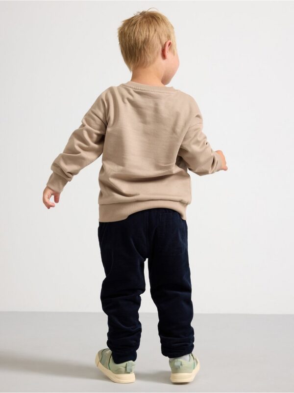 Trousers in corduroy - 3002146-2521