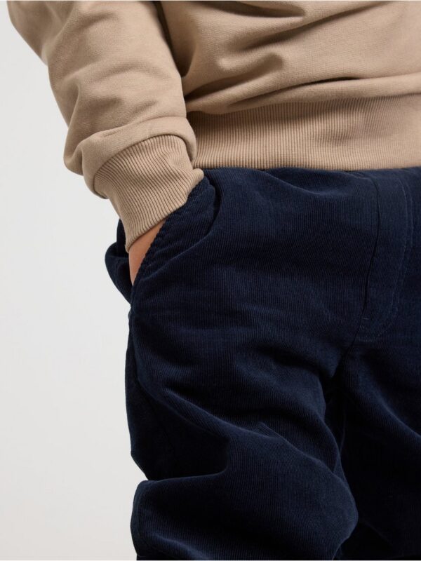 Trousers in corduroy - 3002146-2521