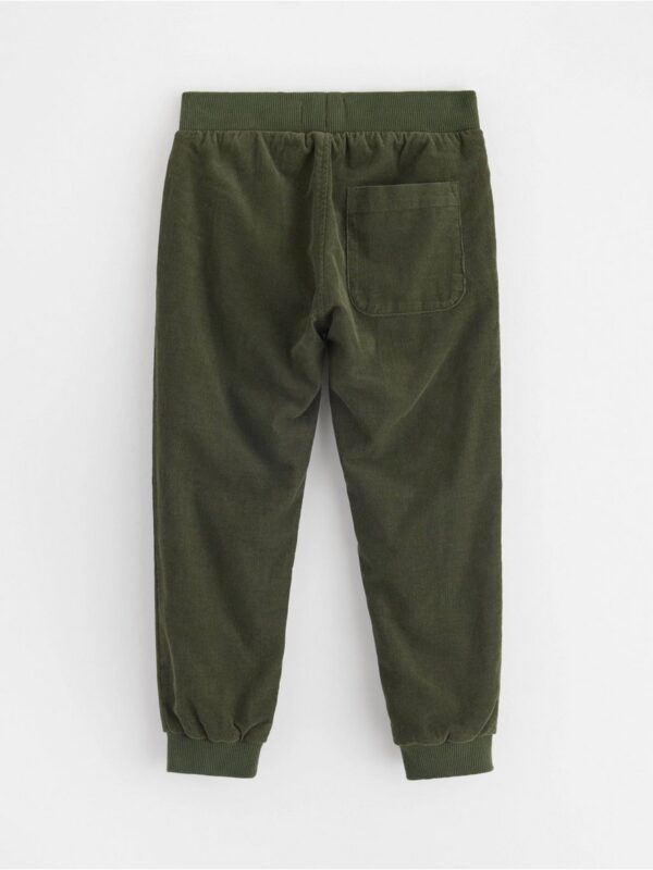 Trousers in corduroy - 3002146-8611