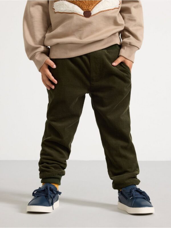 Trousers in corduroy - 3002146-8611