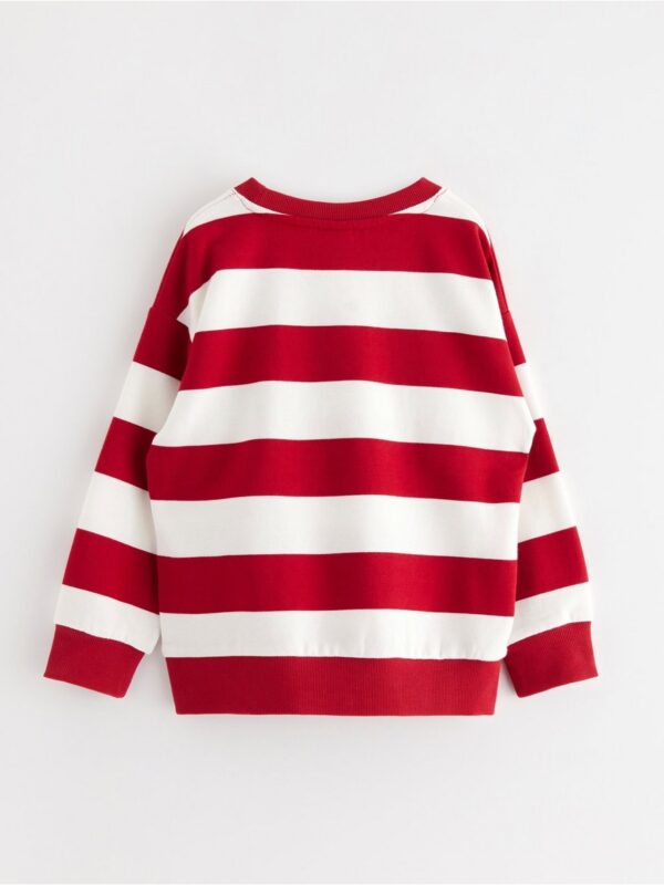 Sweatshirt with brushed inside - 3003808-7395
