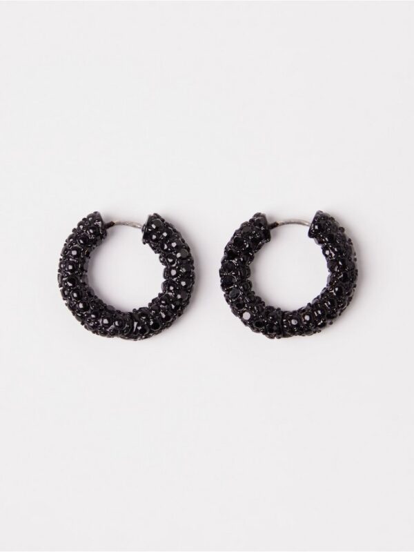 Glittery hoop earrings - 3004413-80