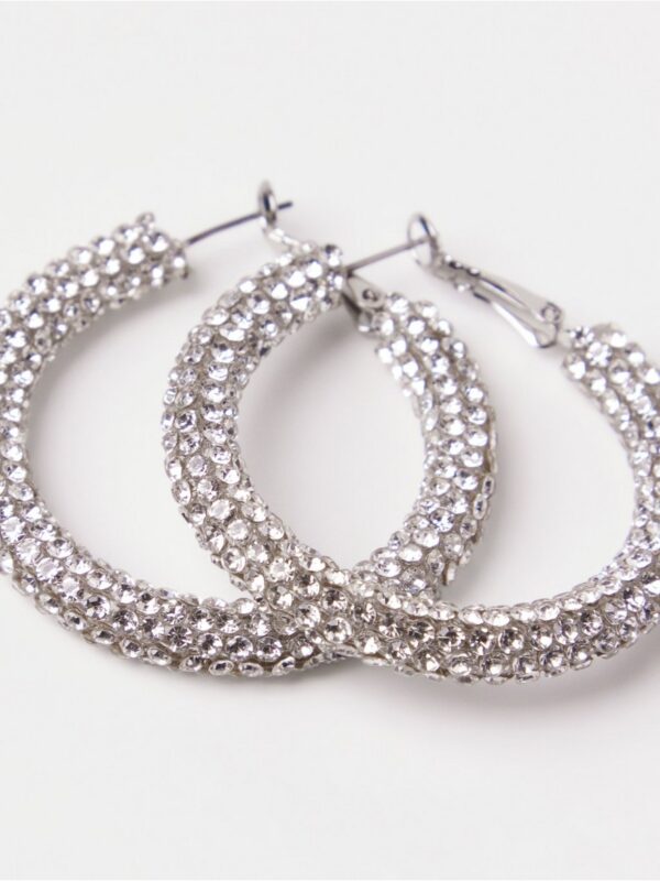Glittery hoop earrings - 3004436-10