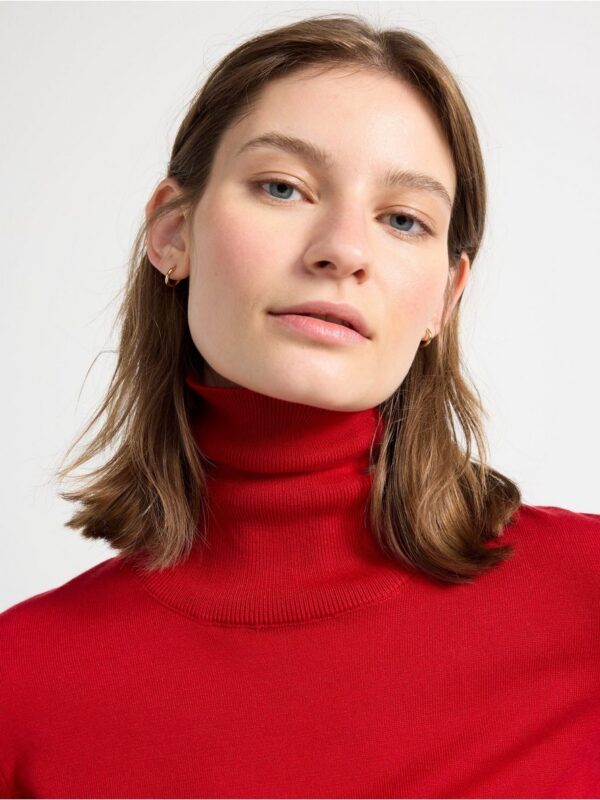 Fine-knit roll neck top - 8385452-6286