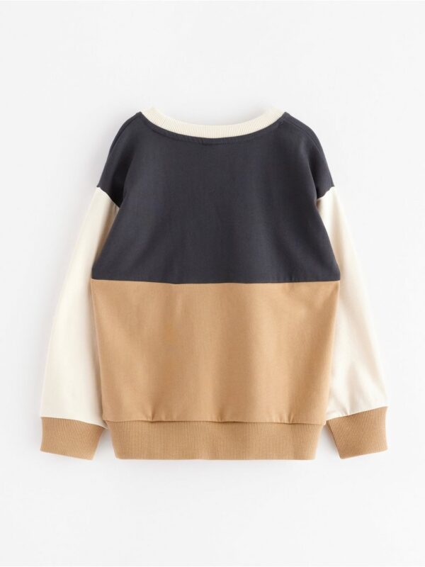 Sweatshirt with brushed inside - 3002726-7779