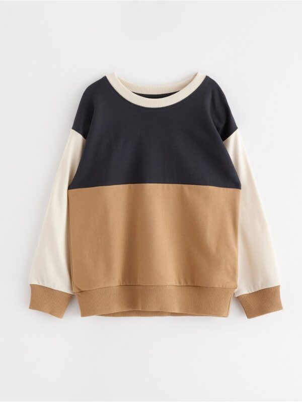 Sweatshirt with brushed inside - 3002726-7779