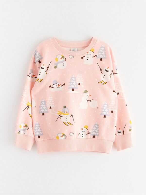 Sweatshirt with brushed inside - 3003424-6907
