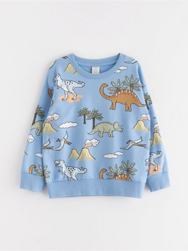 Sweatshirt with brushed inside - 3004422-9881