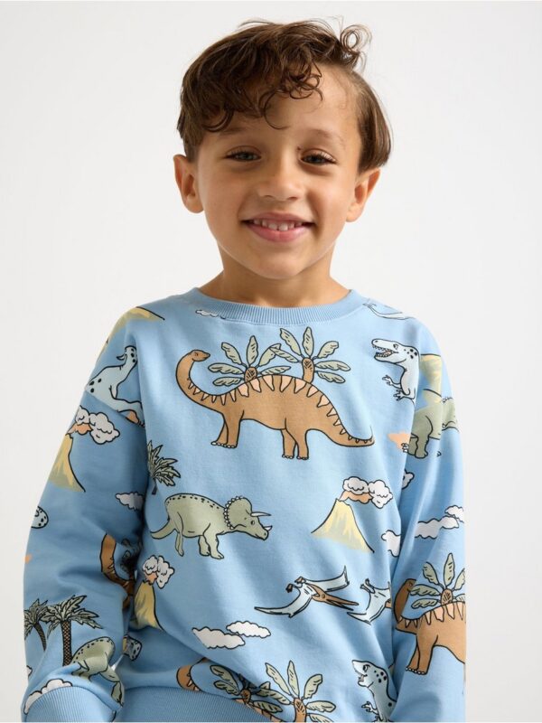 Sweatshirt with brushed inside - 3004422-9881