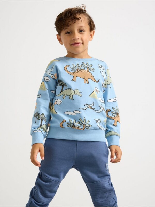 Sweatshirt with brushed inside - 3004422-9881