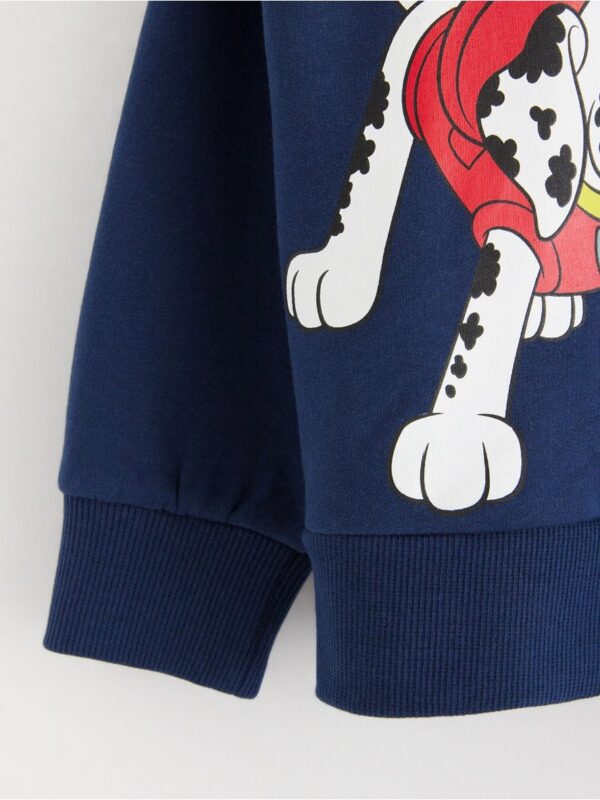 Paw Patrol  sweatshirt - 3004453-6842