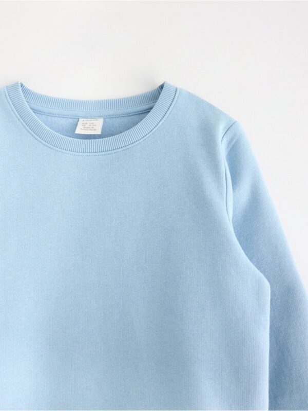 Sweatshirt with brushed inside - 3004577-8852