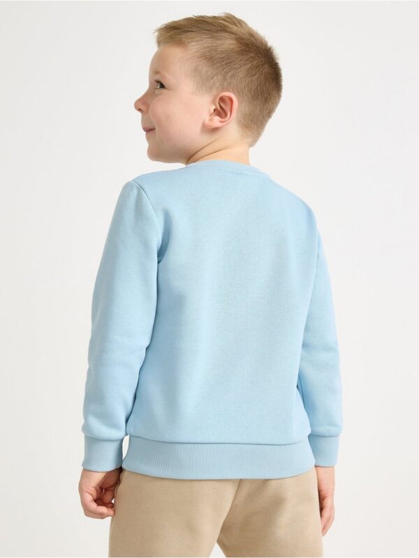 Sweatshirt with brushed inside - 3004577-8852
