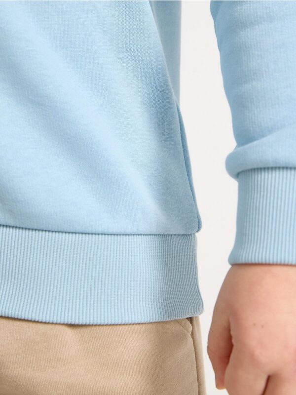 Sweatshirt with brushed inside - 3004577-8852