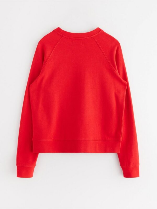 Sweatshirt - 3004592-8668