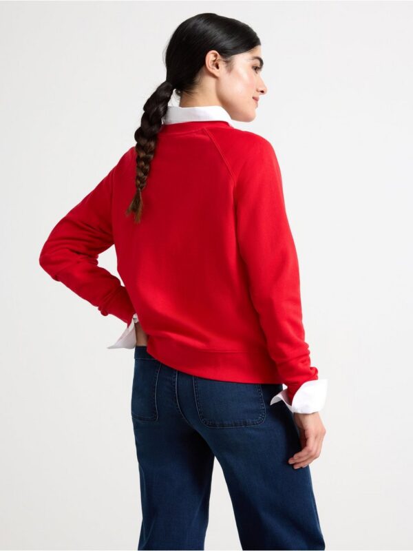 Sweatshirt - 3004592-8668