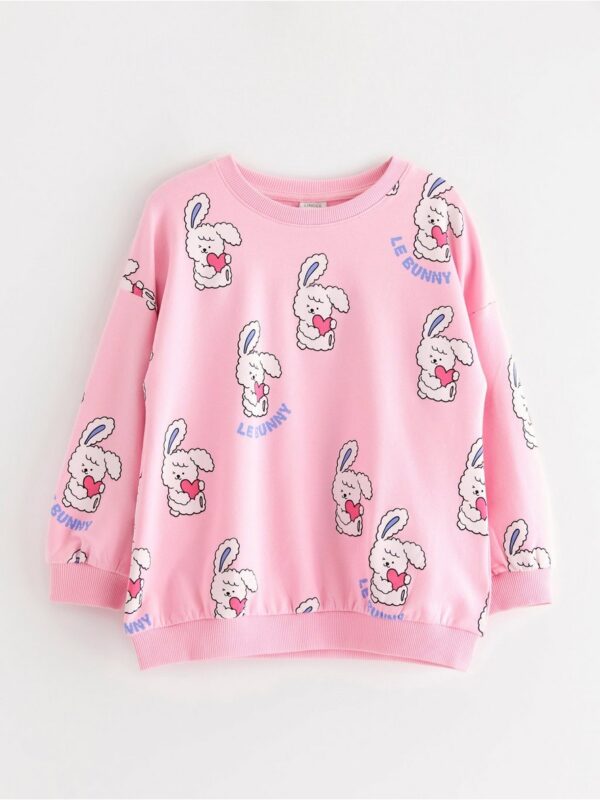 Sweatshirt with brushed inside - 3004727-3679