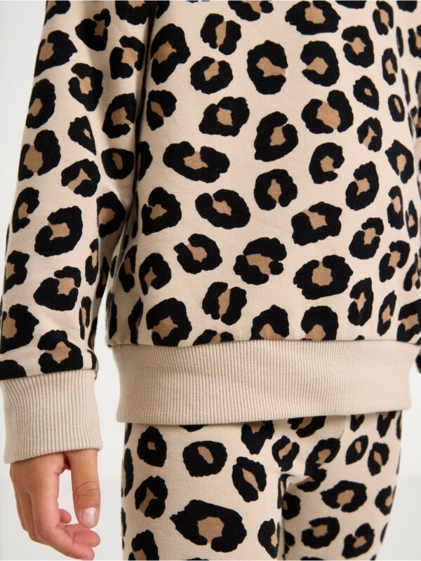 Sweatshirt with brushed inside - 3006156-4939