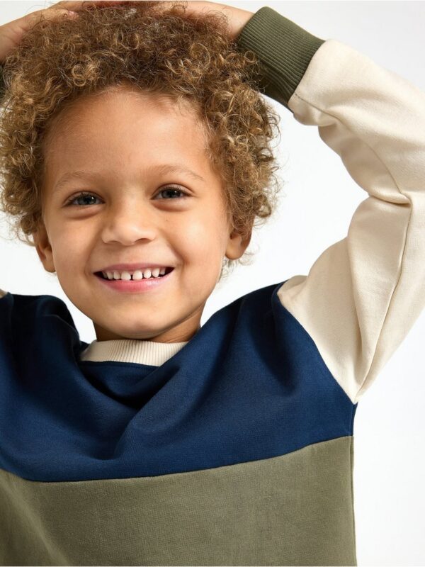 Sweatshirt with brushed inside - 3002726-6876