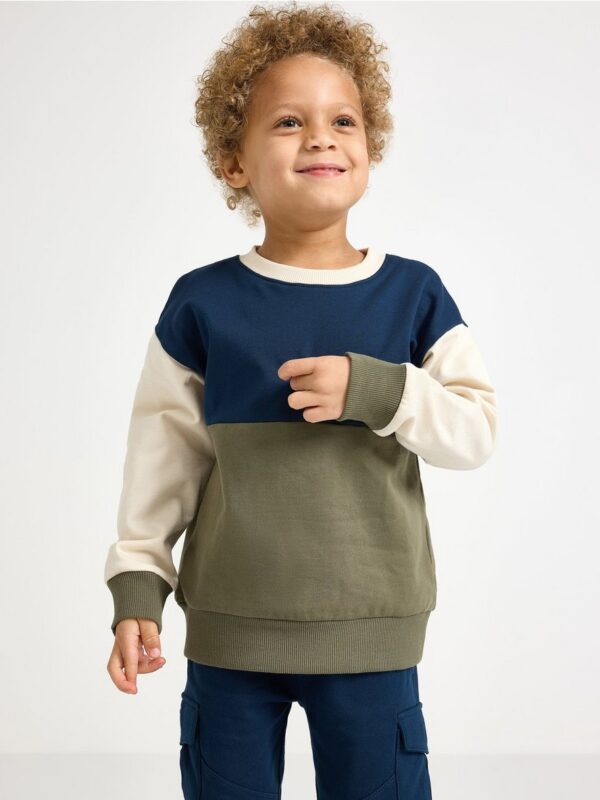 Sweatshirt with brushed inside - 3002726-6876
