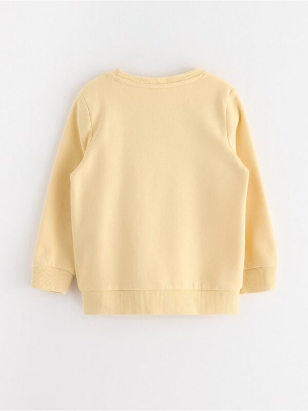Sweatshirt with brushed inside - 3004577-1877