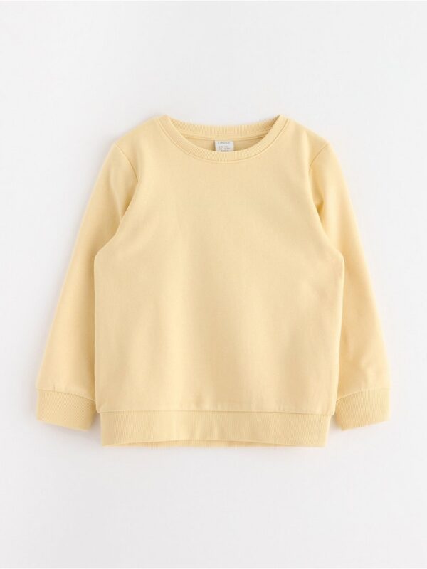 Sweatshirt with brushed inside - 3004577-1877