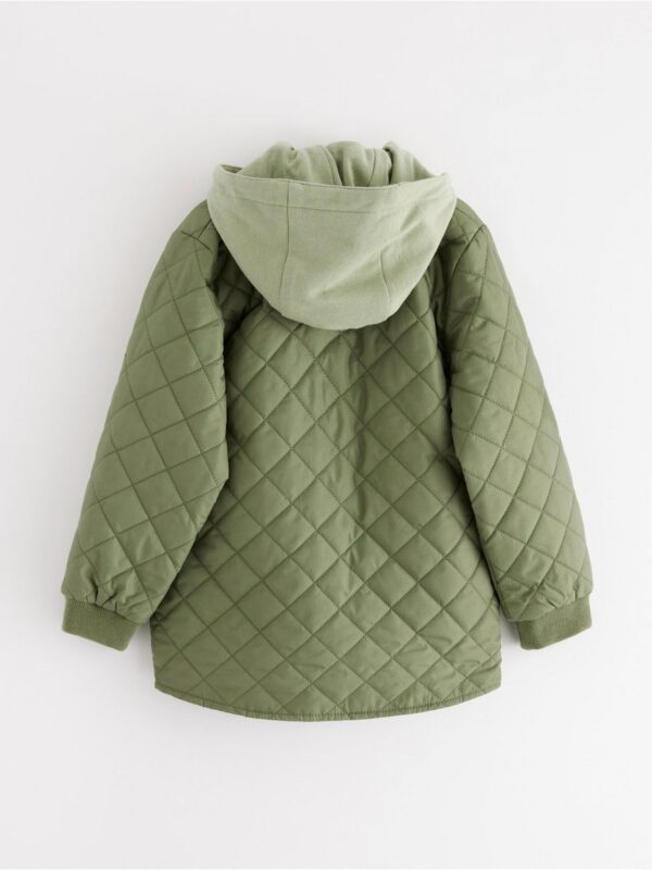 Padded jacket with hood - 3004198-7890