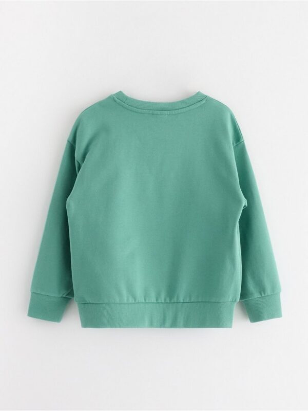 Sweatshirt with brushed inside - 3004663-4573