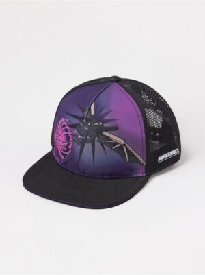 Minecraft  cap - 3004949-80