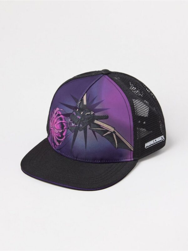 Minecraft  cap - 3004949-80