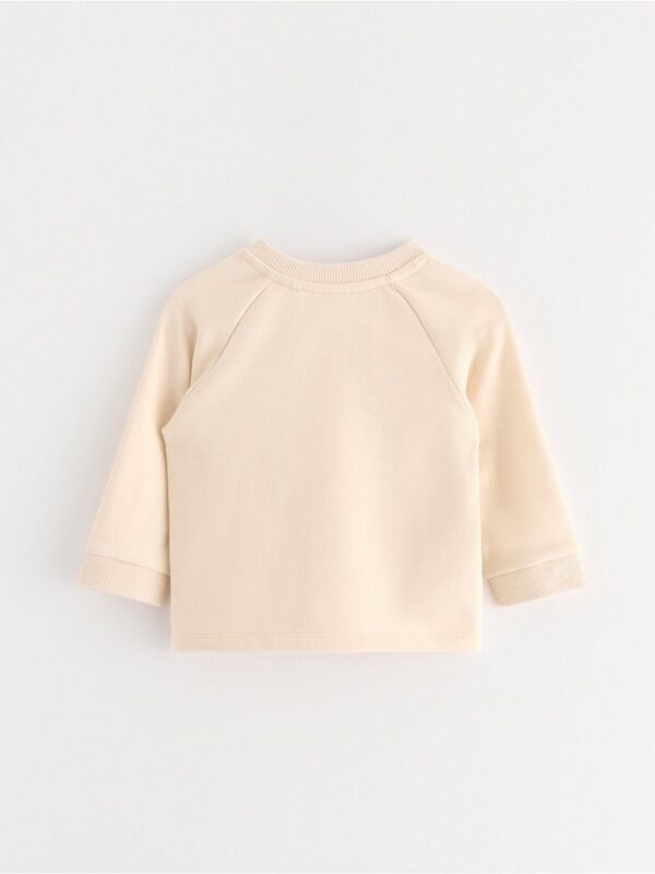 Long-sleeved sweatshirt with brushed inside - 3006791-1230