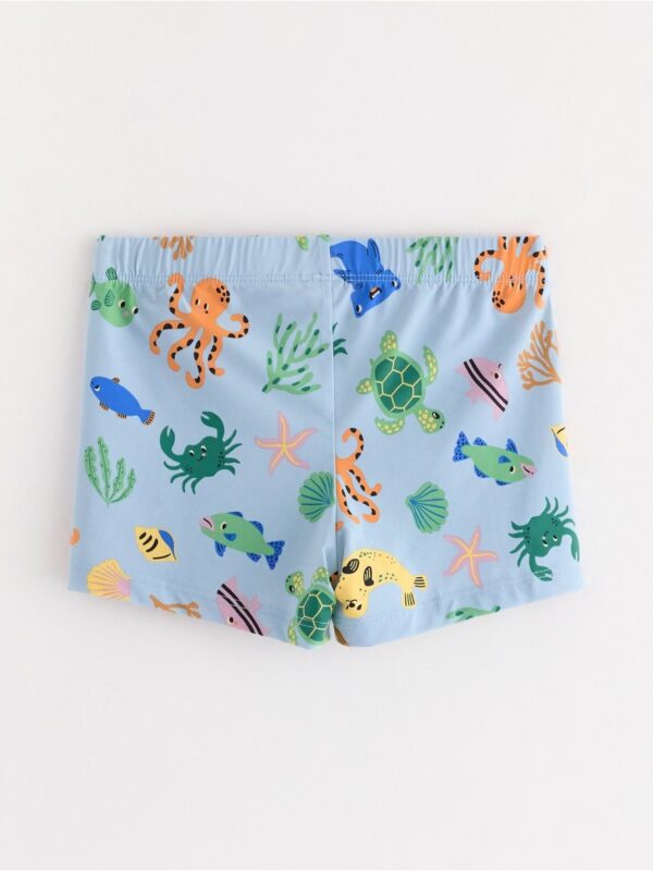 Swim trunks - 3004319-8852