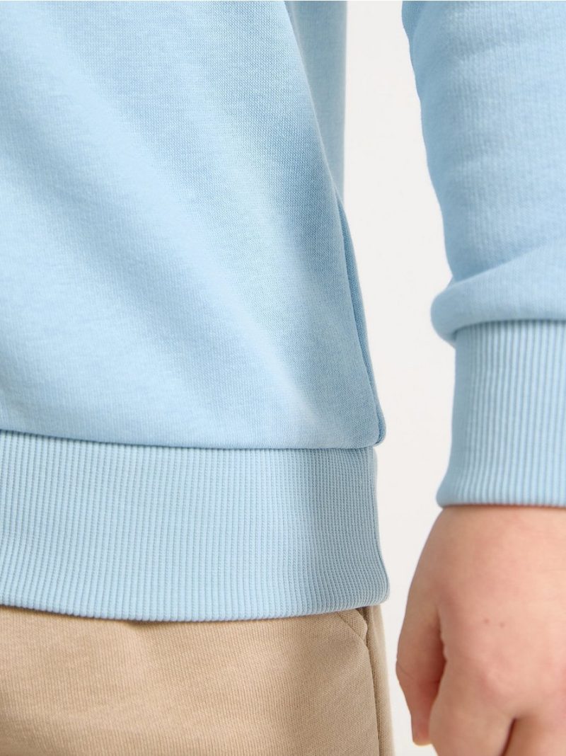 Sweatshirt with brushed inside - 3004577-8852