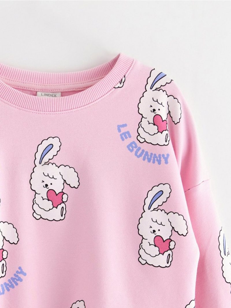 Sweatshirt with brushed inside - 3004727-3679