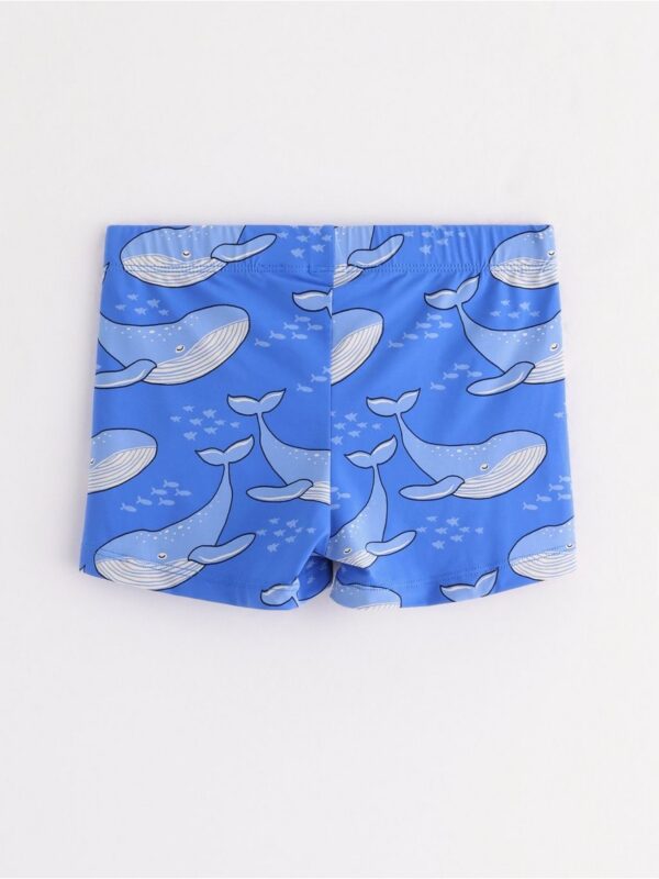 Swim trunks - 3004319-7424