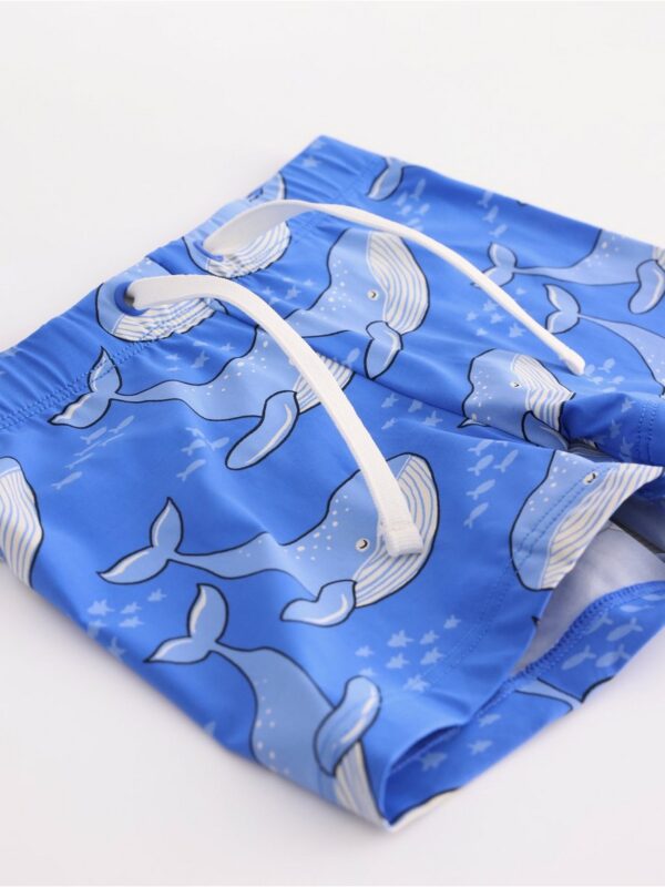 Swim trunks - 3004319-7424