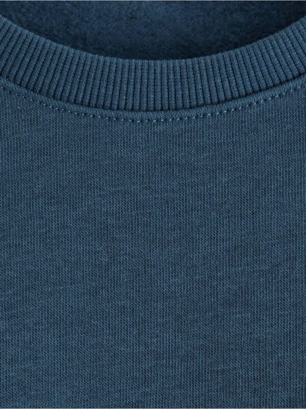 Sweatshirt with brushed inside - 3004577-2065
