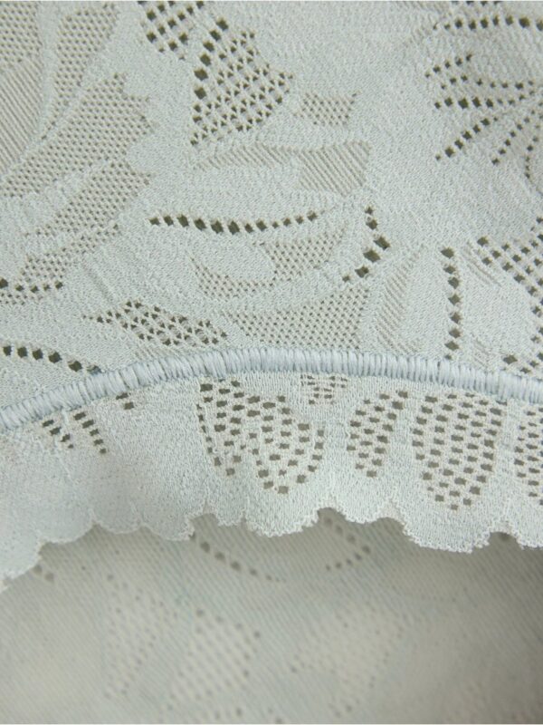 Briefs in lace  with high waist - 3006139-7986
