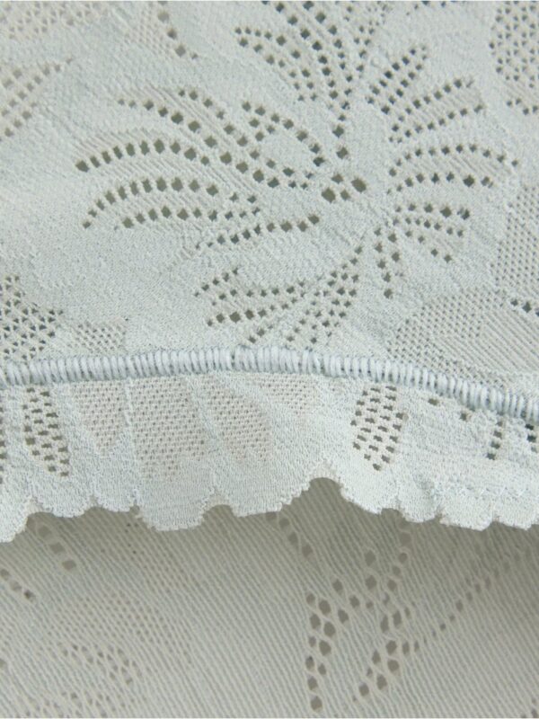 Brazilian briefs in lace - 3006205-7986