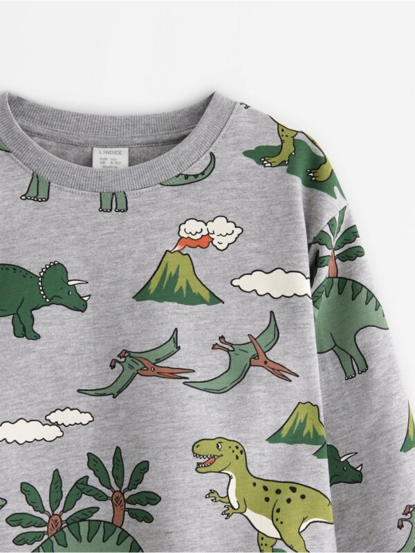Sweatshirt with brushed inside - 3007067-7692