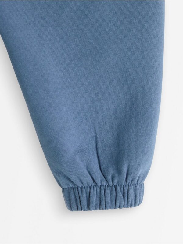 Joggers with brushed inside - 3006868-4146