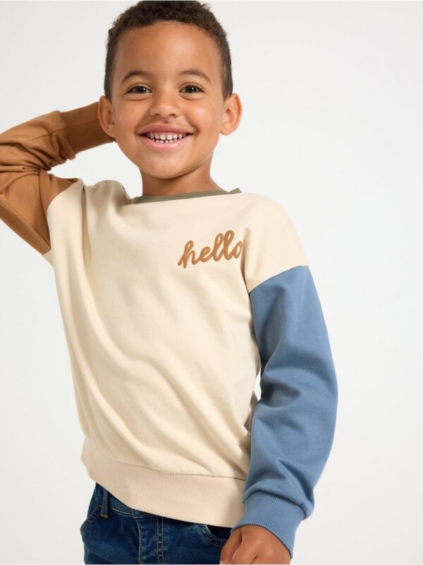 Sweatshirt with brushed inside - 3007573-7458