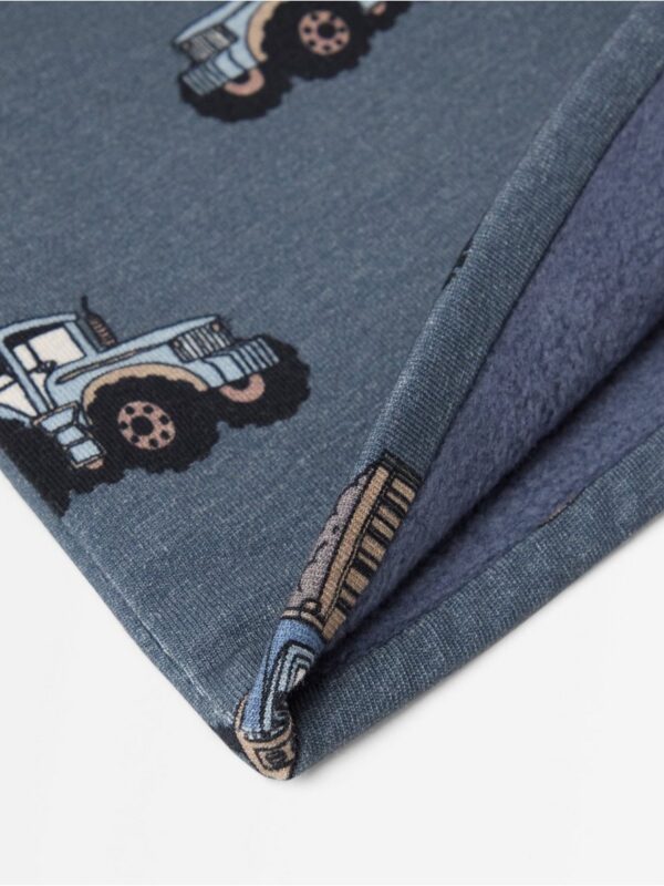 Beanie with lining - 3007659-2498